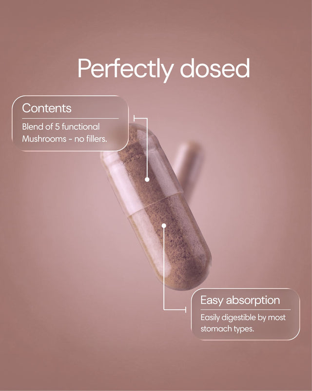  Clearly - Mushroom Mix